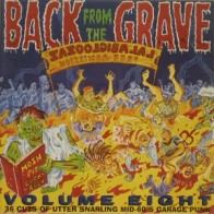 VARIOUS ARTISTS "Back From The Grave Vol. 8" (2xLP) (Gatefold)