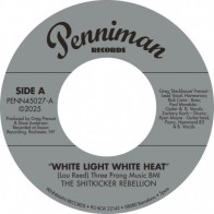 SHITKICKER REBELLION "White Light White Heat / 99th Floor" 7"
