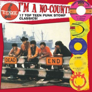 VARIOUS ARTISTS - 'Teenage Shutdown - I'm A No Count' LP