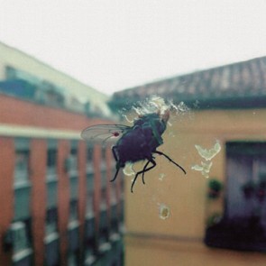 BIZNAGA "Gran Pantalla" CD