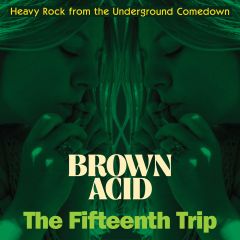 VARIOUS ARTISTS "Brown Acid - The Fifteenth Trip" (Random colored vinyl) LP