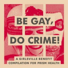 VARIOUS ARTISTS "Be Gay Do Crime" LP