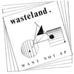 WASTELAND "Want Not" EP 7"