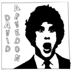 ARVEDON, DAVID "Best Of Vol. 2" LP (LTD)