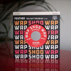 FEATHER - You Got Troubles / Stupid Girl 7" RE