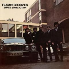 FLAMIN' GROOVIES "Shake Some Action" LP