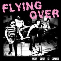 Flying Over - Are You A Punk 7"