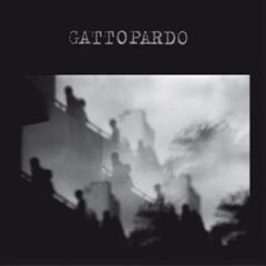 GATTOPARDO - Self Titled LP