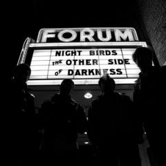 NIGHT BIRDS "The Other Side Of Darkness" LP