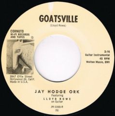 JAY HODGE ORK "Goatsville/ "MECIE JENKINS "Come Back Pretty Baby" 7"