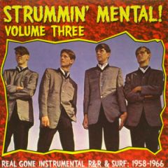VARIOUS ARTISTS "Strummin' Mental Vol. 3" LP