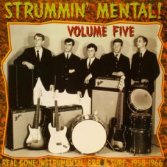VARIOUS ARTISTS "Strummin' Mental Vol. 5" LP