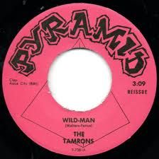 TAMRONS "Wild Man/ Stop, Look, Listen" 7"