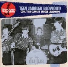 VARIOUS ARTISTS 'Teenage Shutdown-Vol. 9 Teen Jangler Blowout!' LP