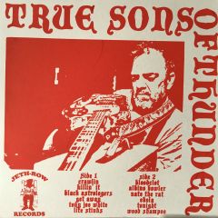 TRUE SONS OF THUNDER "Spoonful Of Seedy Dudes" LP (Repress)