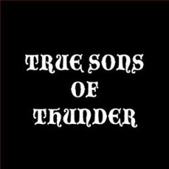 TRUE SONS OF THUNDER "Stop And Smell Your Face" LP